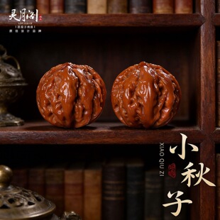 �����Ϻ��������ߒ�С���Ӵ�ֽ�P�����������Ů�Y��