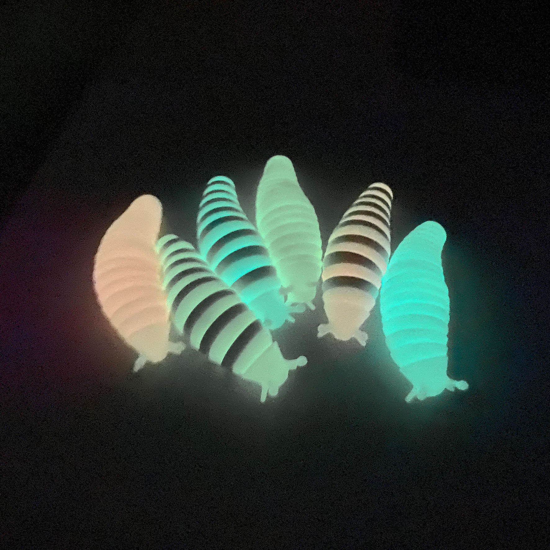 Toy, anti-stress, caterpillar