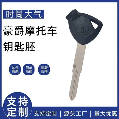 Suitable for Motorcycle Haojue Usr/Afr125 Motorcycle Key Blanks Vm100/Tiger Shark Vx/Hj100T Keys (Motorcycle Key)