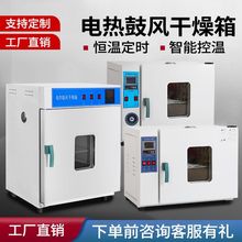 电热恒温鼓风干燥箱高温小型热风循环烤箱工业烘箱实验室烤箱
