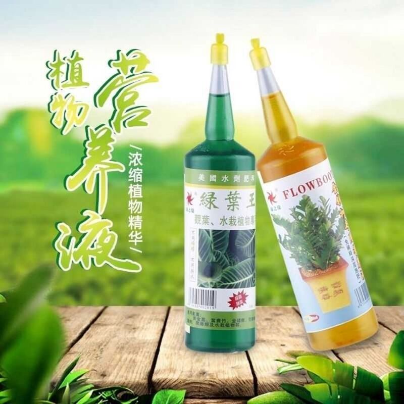 Plant Nutrient Solution Universal Type Green Plant Potted Fertilizer Hydroponic Money Tree Money Tree Rich Bamboo Pothos Wholesale