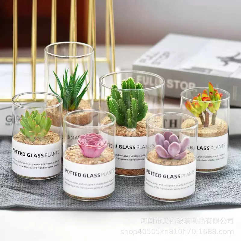 Стеклянная ваза горшок суккуленты прямые трубочки s столешницы гидропонные растения стеклянные горшки (только стеклянные горшки)