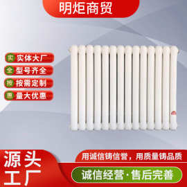 钢制暖气片 钢材二柱壁挂散热片 集中供暖 自采暖