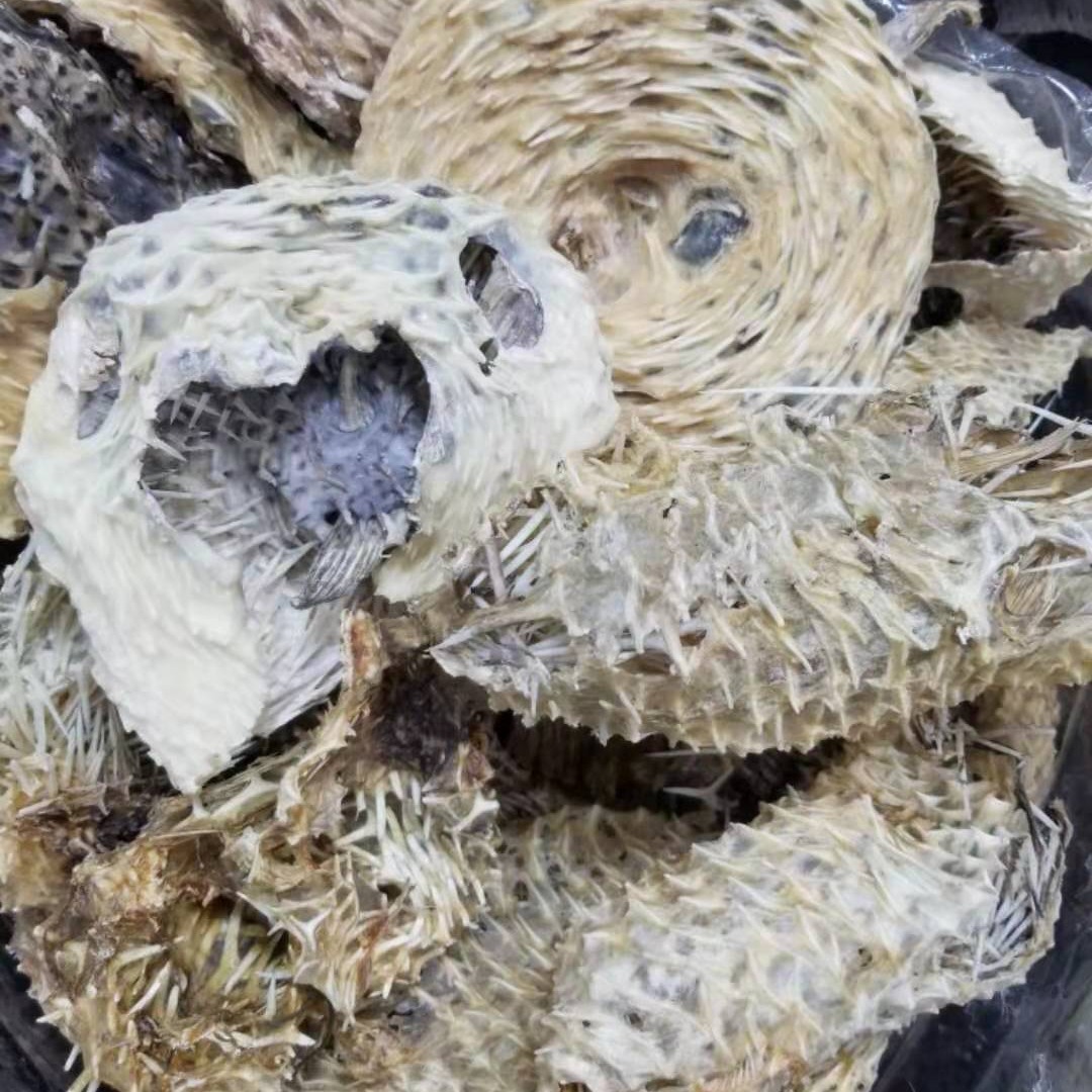 3-5头特惠刺龟皮批发250g海味干货护胃刺猬鱼皮海鱼皮煲汤盐爆刺