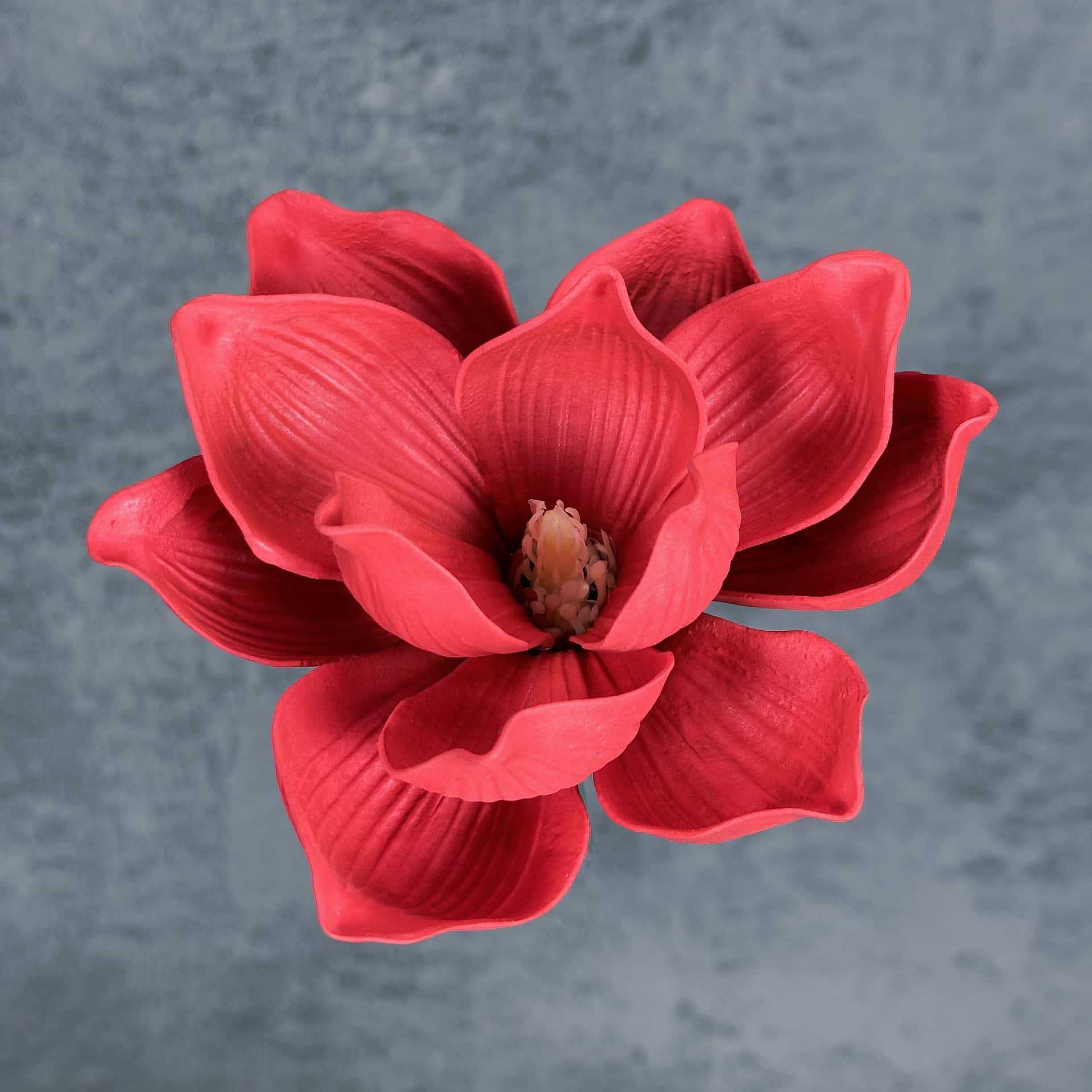 Flor de simulación transfronteriza EVA cabeza de magnolia 13cm tacto tocado kapok decoración decoración decoración flor falsa al por mayor