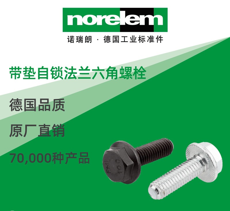 norelem德国原厂直供诺瑞朗NLM07173带垫自锁法兰六角螺栓