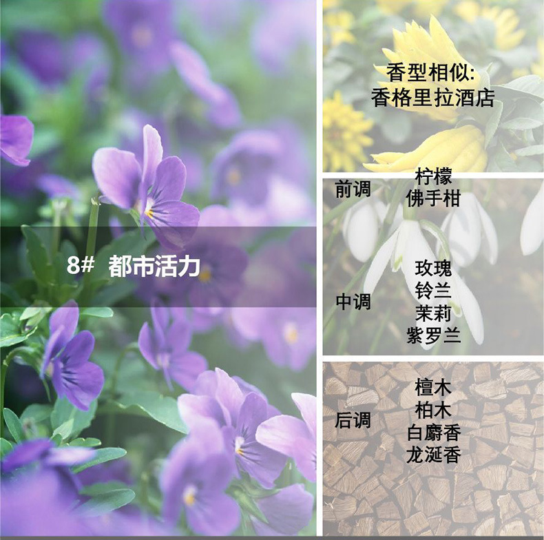 香水精油车内香氛负离子系统香薰持久通用空调出除味补充液替换装|undefined