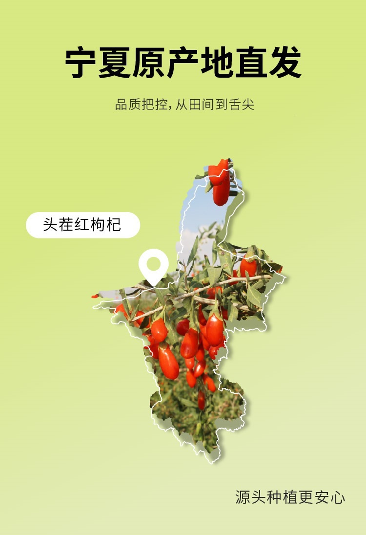 Goji Berry and Astragalus Root Combo 500g Ningxia Red Goji with Huang Qi for Tea and Soup Jar Pack in use