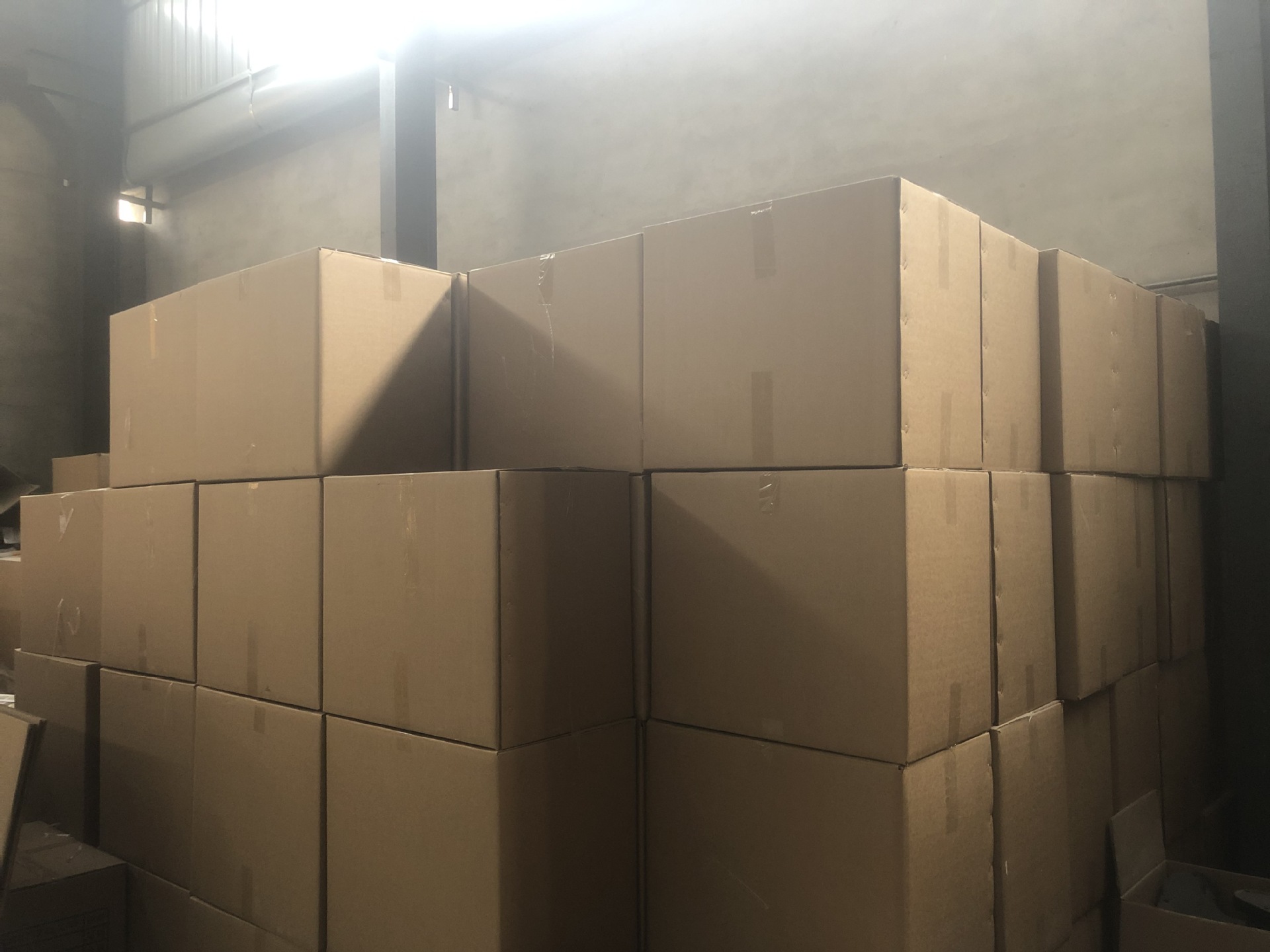 新建文件夹 (2)IMG_3764