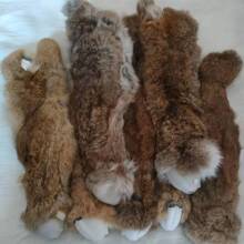 ӖȮ������Ƥ׷��Ȯ���CӖ����������Ӗ���Ӻ�����Ĭ�J�