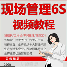 现场管理5S6S7S视频教程管理活动推行手册活动执行技巧程序管理制