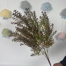 ���l�����֦�Gֲ��С���zӰ���߻�c�b�ֱ���g�����Gֲ�Ҿ��b��