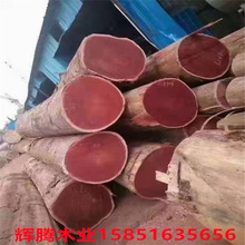 �S�ҳ��깩�� С�tľ ��Ī�� �t�� �t���� ԭľ ���