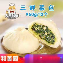 和善园三鲜菜包营养早餐青菜豆腐包子馒头速冻半成品商用鲜肉大包