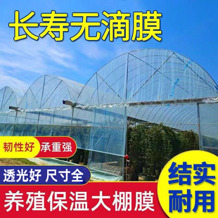 Greenhouse Film, Drip-Free Film, Special Greenhouse Plastic Film, Transparent Plastic Cloth, Agricultural Plastic Film, Thickeneded Waterproof Po Film