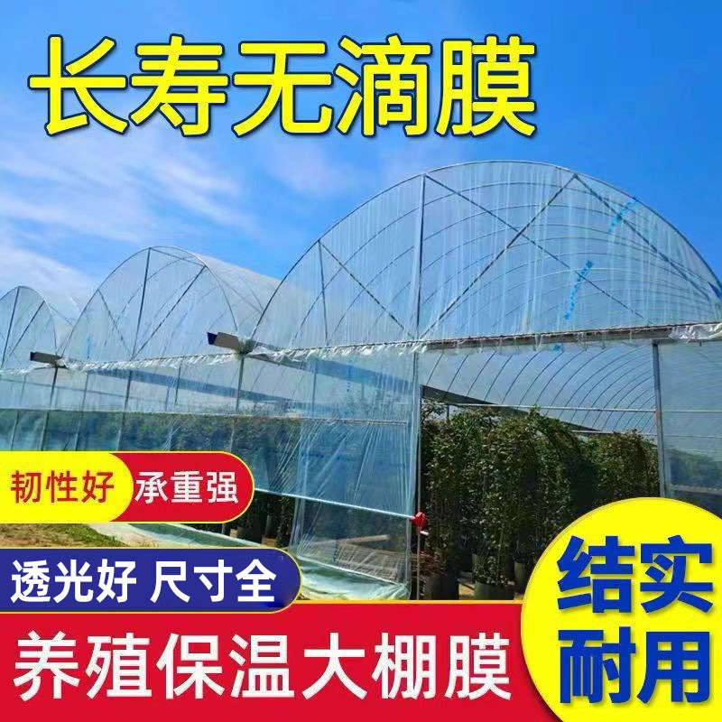 Greenhouse Plastic Film, Transparent Plastic Sheet, Transparent Greenhouse Film, Drip-Free Film, Agricultural Plastic Film, Thickened Waterproof Po Film
