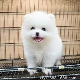 ���N������Ȯ���w���۲豭Ȯ�L���󿡽�С���ܲ������B��������