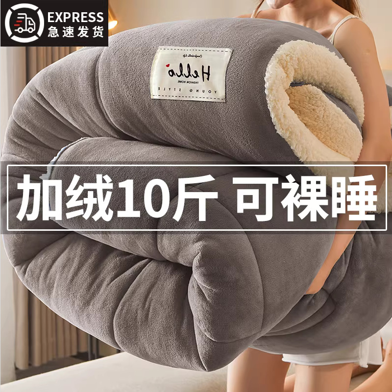Mayorista 10 kg de cashmere más edredón de leche edredón de invierno núcleo de edredón de invierno grueso calentamiento de invierno estudiantes individuales 8