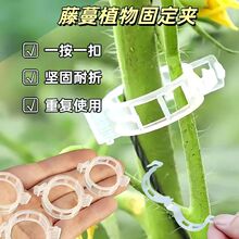 �S�����t�����ǽ�֦�̶��A�Gֲ�߲��������������r���Ԅӿ۽�����