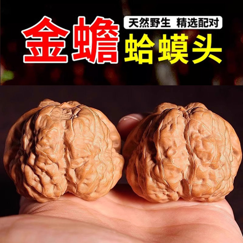 Open-back toad-head collectible walnut, short-stemmed, pointed tip, from an old tree, Yanqing golden toad, hand-collectible, unisex, croaking lion Open-back toad-head collectible walnut, short-stemmed, pointed tip, from an old tree, Yanqing golden toad, hand-collectible, unisex, croaking lion