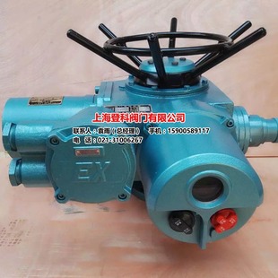 DZW90 Multi-swing Switch Type Electric Head Explosion-proof Electric Intelligent Adjustment Type Outdoor Type
