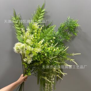ԭɫ�Gֲϵ�����Ϸ��滨��c�ҾӾGɫ�b�ֲ��Ƶ�Ӱ�ǲ����Gֲ