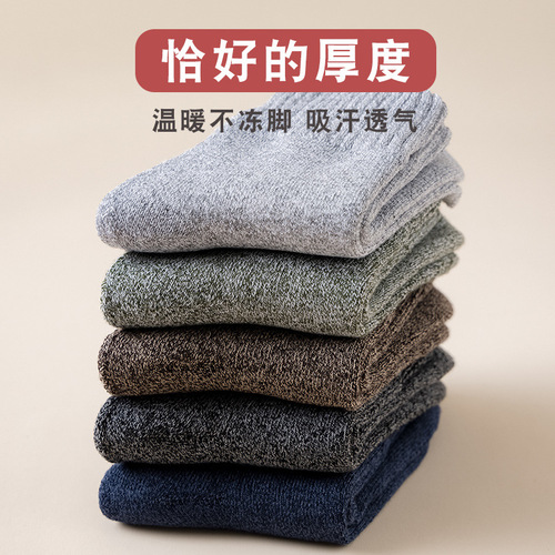 Socks Men's Winter Terry Socks Plus Velvet Thickened Solid Color Mid-Tube Socks Threaded Towel Socks Warm Floor Socks Wholesale