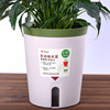 Automatic table flowerpot, round plastic small pot, water absorbent