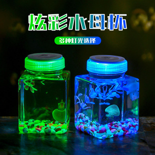 Square Stall Special Bucket Bottle 500ml Transparent Mini Ecological Micro Landscape Tank Luminous Lamp Jellyfish Aquarium I