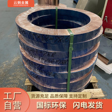 国标环保 厂家T2无氧紫铜卷紫铜皮 焊接纯铜带 批高导电T2紫铜带