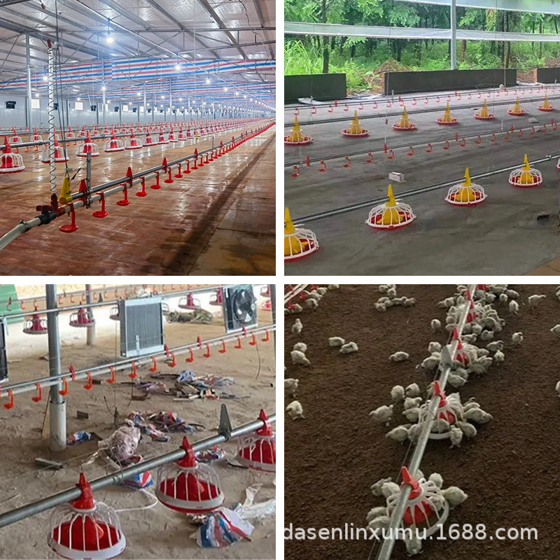 Sistema automático de equipos de alimentación de pollos de engorde para pollo de engorde a sueldo línea de agua de granja de bandeja de material
