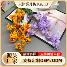 �羳���滨��������c·���b���Y�F�����üٻ����T�����廨