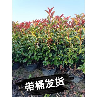 �t�~ʯ骘��玧����������ͥԺ�G�������ļ����G����t�����G�h