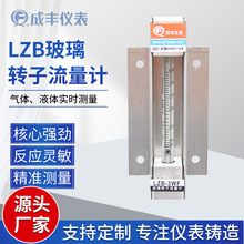 LZB-3WF玻璃转子流量计 法兰安装防蚀型流量计气体液体流量计