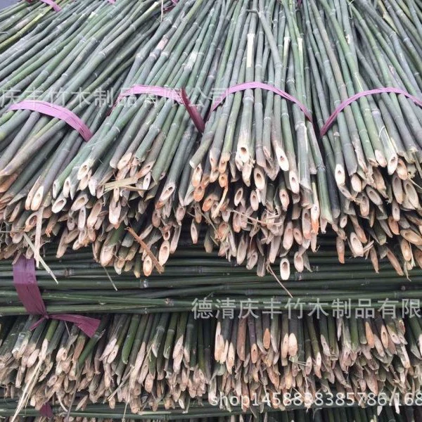 Производители происхождения оптовые сельскохозяйственные овощи