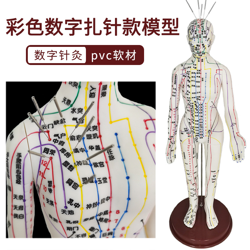 人体穴位模型针灸经络教学小铜人超清晰全身十二经络人模