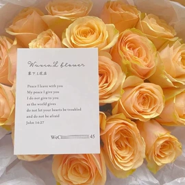 纸类印刷制品;贺卡;请柬