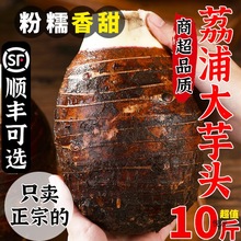 广西荔浦新鲜大芋头10斤整箱小芋头旗舰店槟榔芋现挖毛芋头5