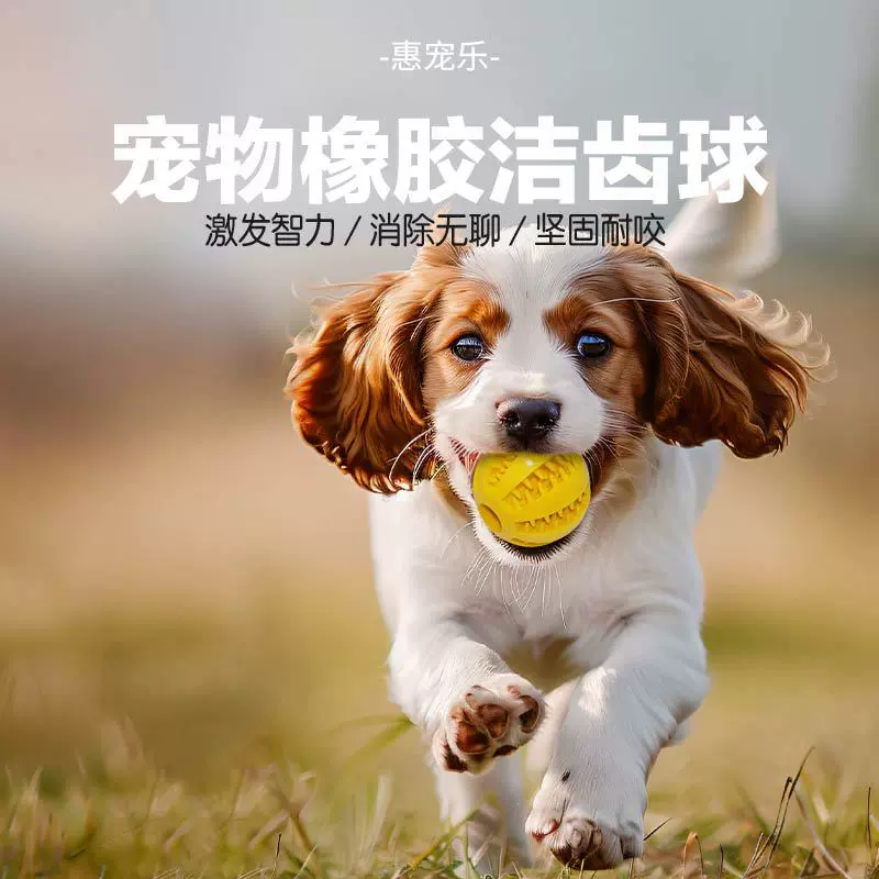 狗狗玩具漏食球磨牙球耐咬宠物漏食磨牙洁齿西瓜球节日礼品
