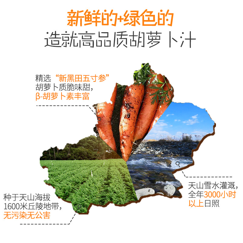 Xinjiang Shen Nei Fruits & Vegetables Juice Carrot Juice 238ml*10 Bottles Mixed with 0 Fat Meal Replacement Beverage