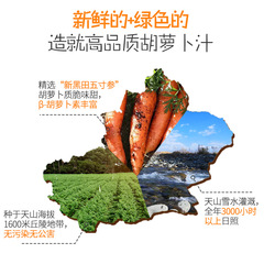 Xinjiang Shen Nei Fruits & Vegetables Juice Carrot Juice 238ml*10 Bottles Mixed with 0 Fat Meal Replacement Beverage