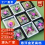 edc儿童减压学生陀螺