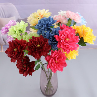 3�^ܽ��ĵ�������滨��Y�þƵ�ܛ�b�廨���Ļ���ɫϵ��Y����