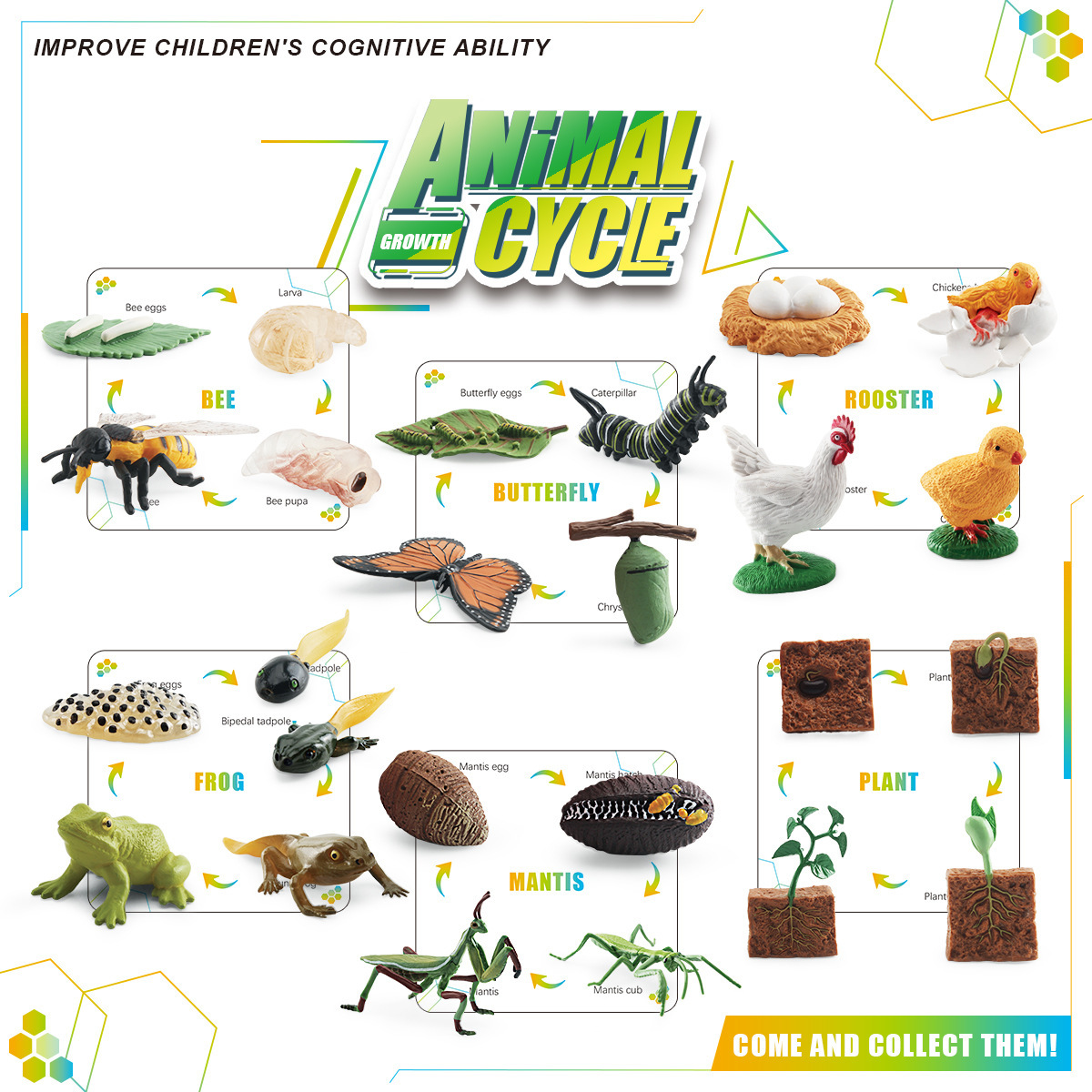 Simulación transfronteriza planta mariposa abeja Gallo Mantis Rana modelo animal y planta crecimiento ciclo caja de almacenamiento traje