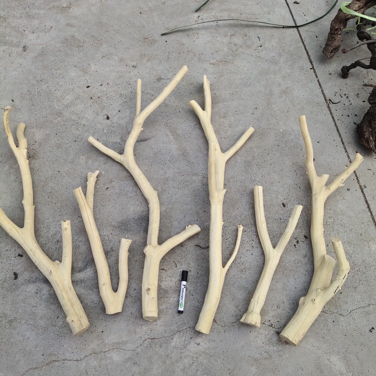 。Arquivos de flores de ramas secas de madera tronco artístico ramas secas maderas secas de madera secas descorpeadas modelado percha de pared paquete de tronco