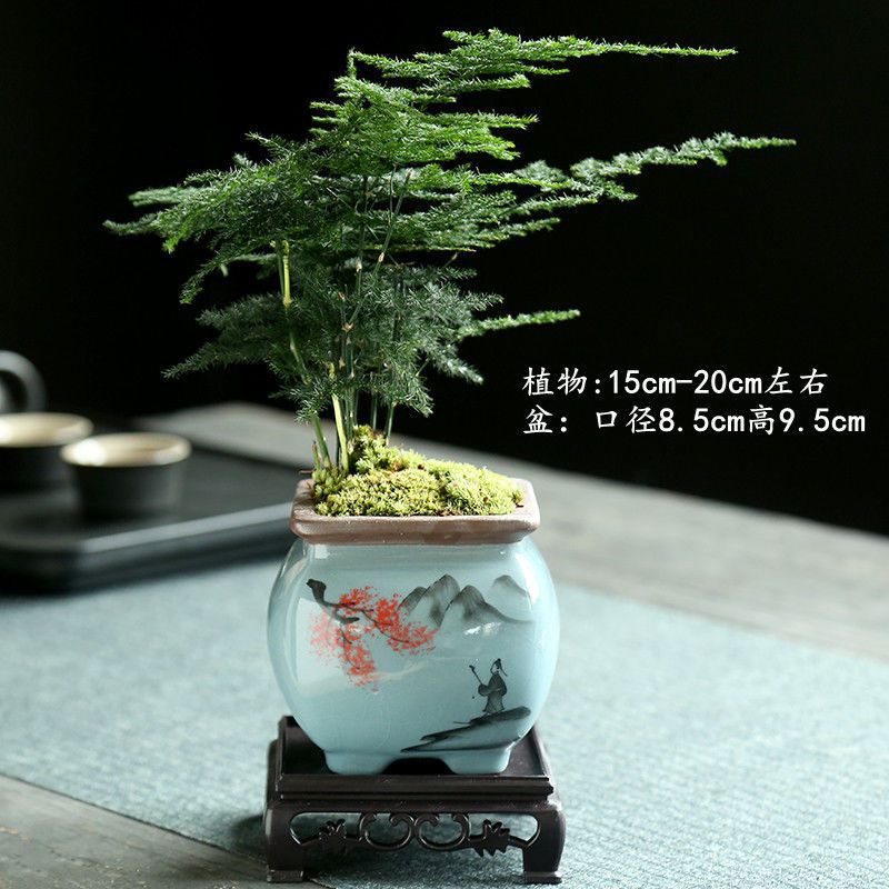 게야오 손으로 그린 레드 매화 성 피크 + 아스파라거스 + 스퀘어 트레이