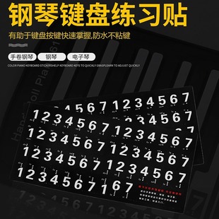 Piano Sticker Tone Sticker Sticker Sketch Scale 88 Key 61 Key Universal 37 Key Electronic Organ Five Line Sketch Lifting Keyboard Sticker