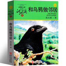 和乌鸦做邻居沈石溪动物小说全集沈石溪的书全系列单本正版经典品