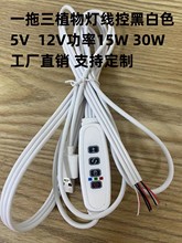 һ����ֲ�ﾀ�����L���{���_�P���r�pɫ�����_�P10�n�o���{���_�P