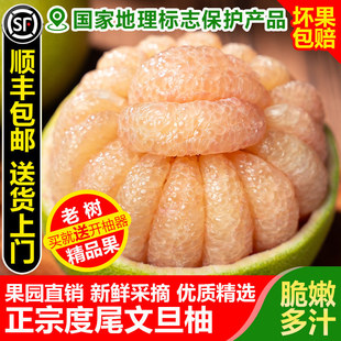 ���ڶ�β�ĵ����Ӹ����������μt�������ЋD�������rˮ��10��